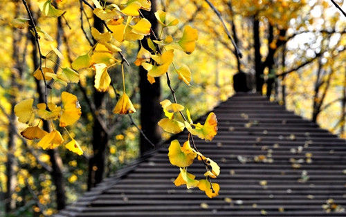 點(diǎn)擊圖片進(jìn)入下一頁