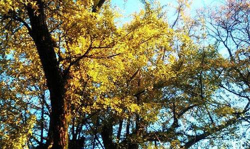 點(diǎn)擊圖片進(jìn)入第一頁