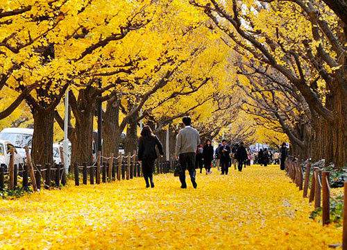 點(diǎn)擊圖片進(jìn)入下一頁