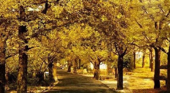 點(diǎn)擊圖片進(jìn)入下一頁