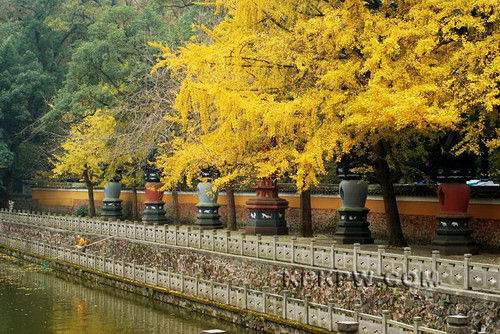 點(diǎn)擊圖片進(jìn)入第一頁