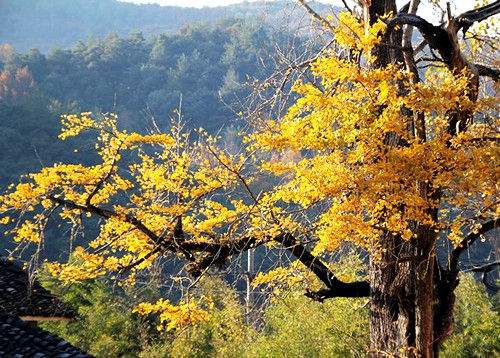 點(diǎn)擊圖片進(jìn)入下一頁