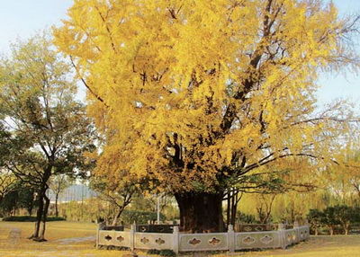 點(diǎn)擊圖片進(jìn)入下一頁