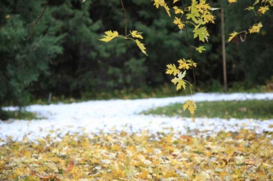 點(diǎn)擊圖片進(jìn)入下一頁