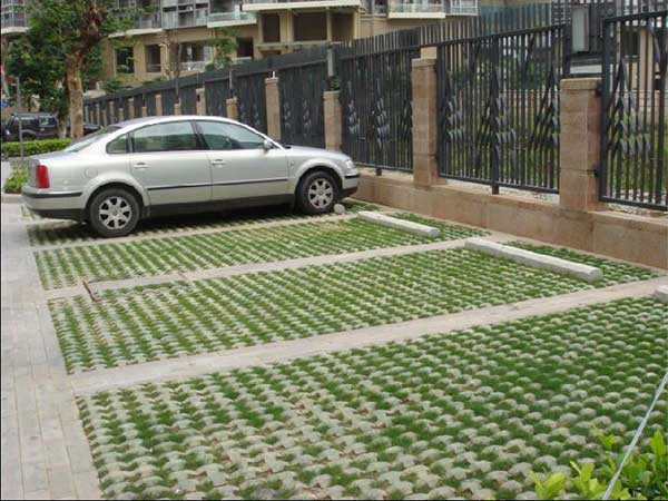 停車場草坪種植草坪種子綠化