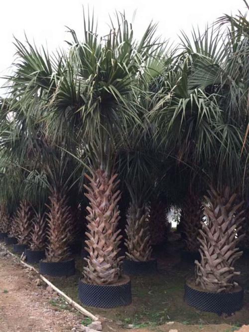 1586263473569730.jpg 1586263473569730.jpg