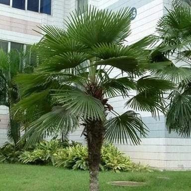 1586263512404544.jpg 1586263512404544.jpg