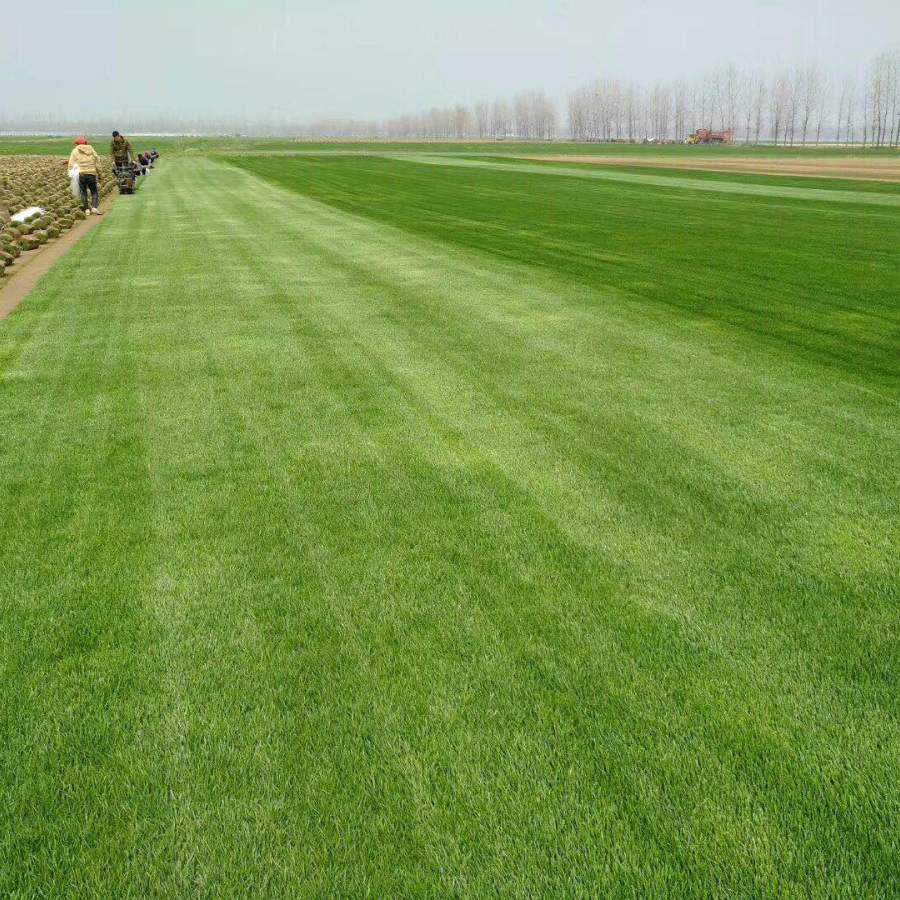 1646892808737949.jpg 1646892808737949.jpg