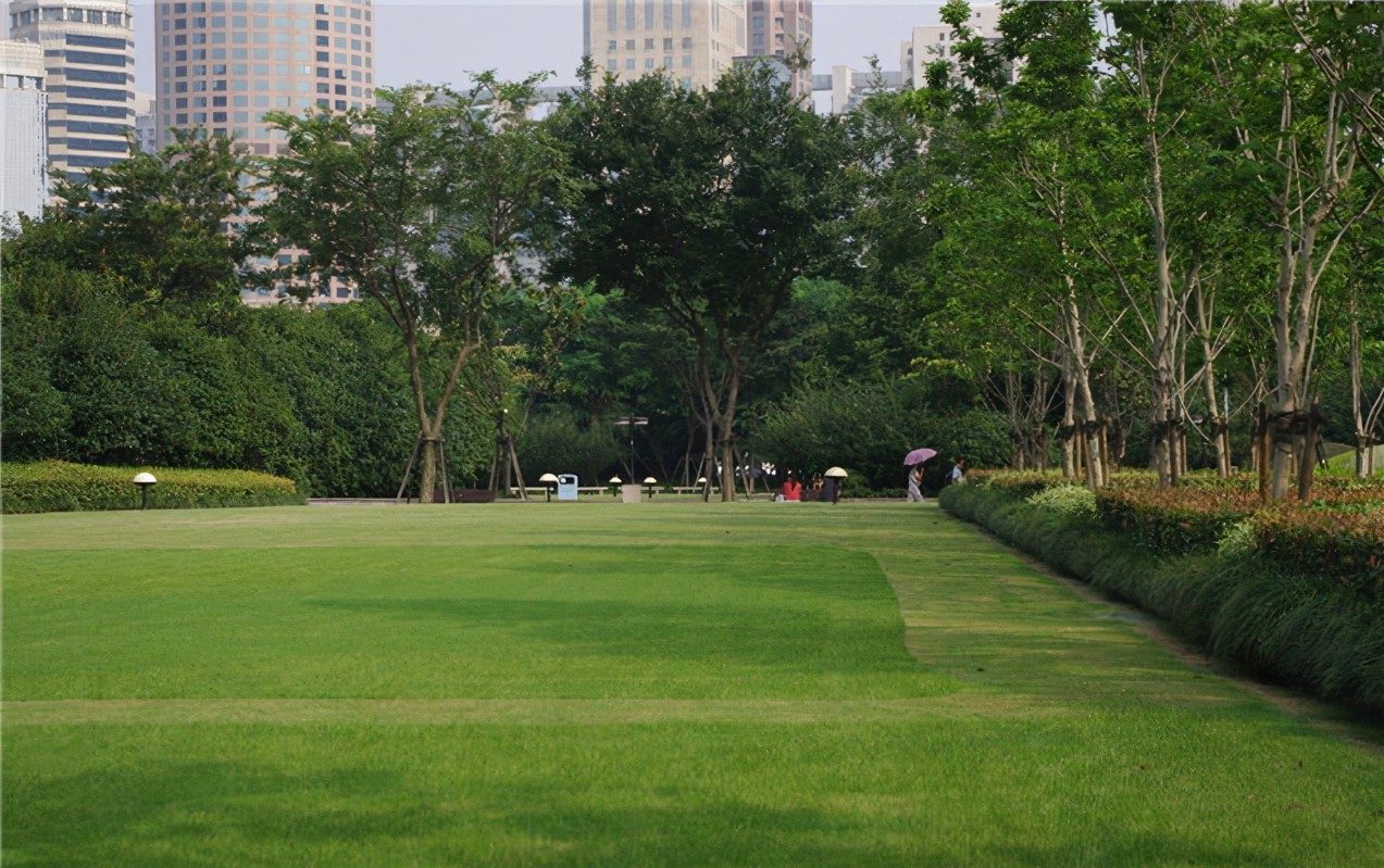 1647536329286226.jpg 1647536329286226.jpg