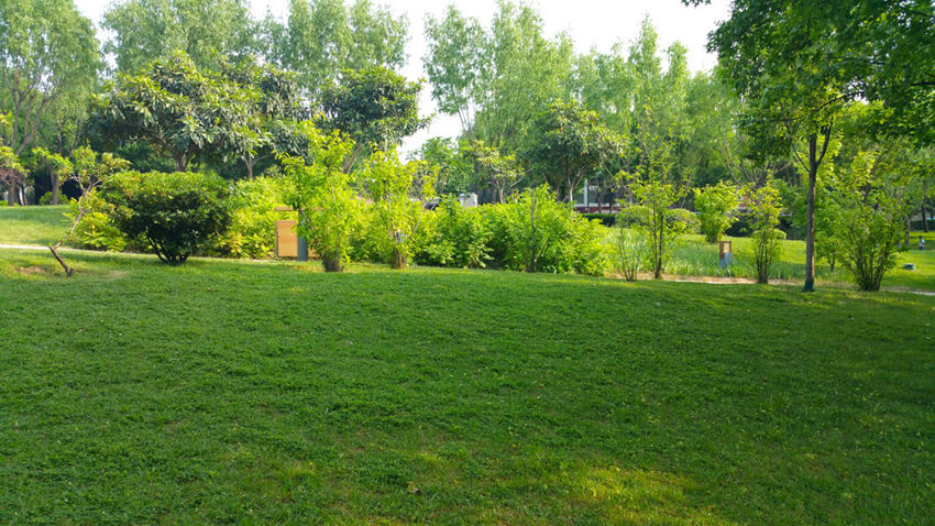 1647536329578454.jpg 1647536329578454.jpg