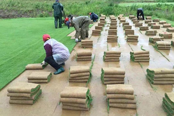 1647536611305811.jpg 1647536611305811.jpg