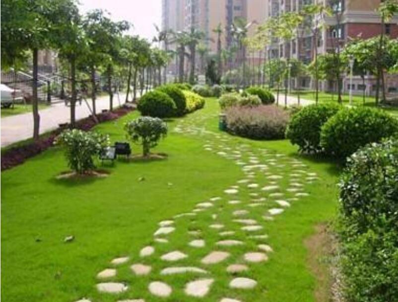 1647537353761516.jpg 1647537353761516.jpg