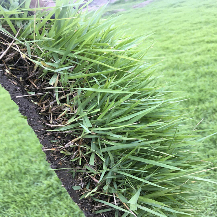 1647537777808767.jpg 1647537777808767.jpg