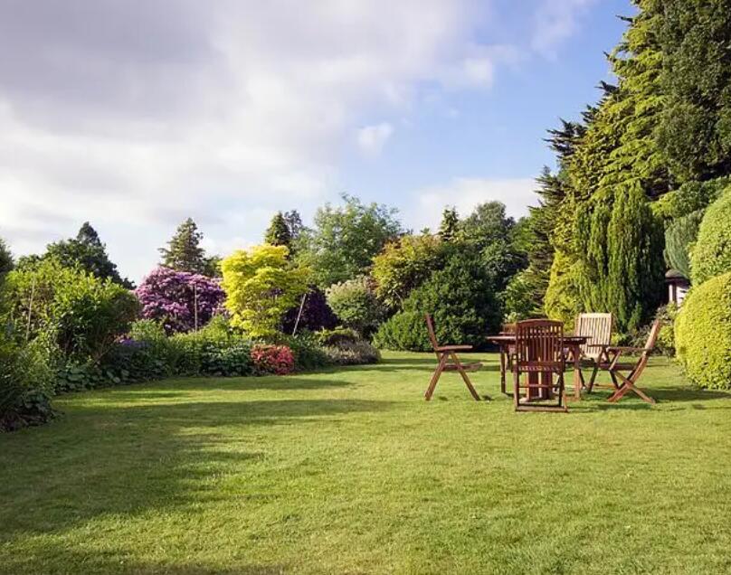 1647538302896636.jpg 1647538302896636.jpg