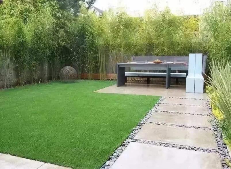 1647538412916959.jpg 1647538412916959.jpg