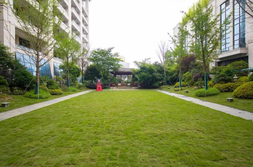 1647538529945877.jpg 1647538529945877.jpg