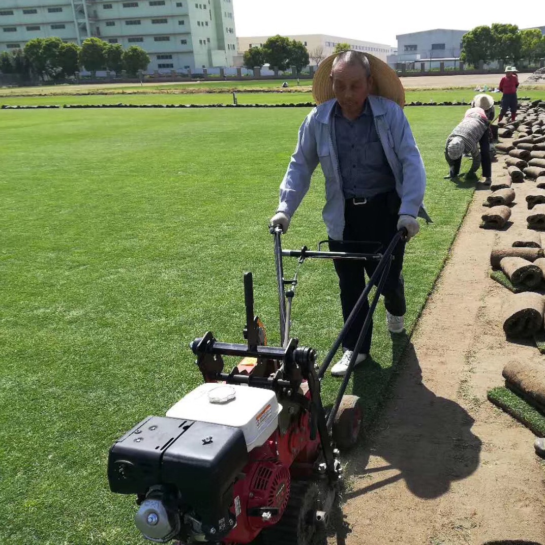 1647538995764510.jpg 1647538995764510.jpg