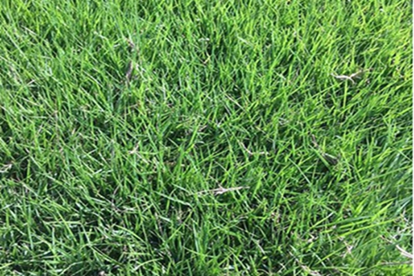 1647539826523199.jpg 1647539826523199.jpg