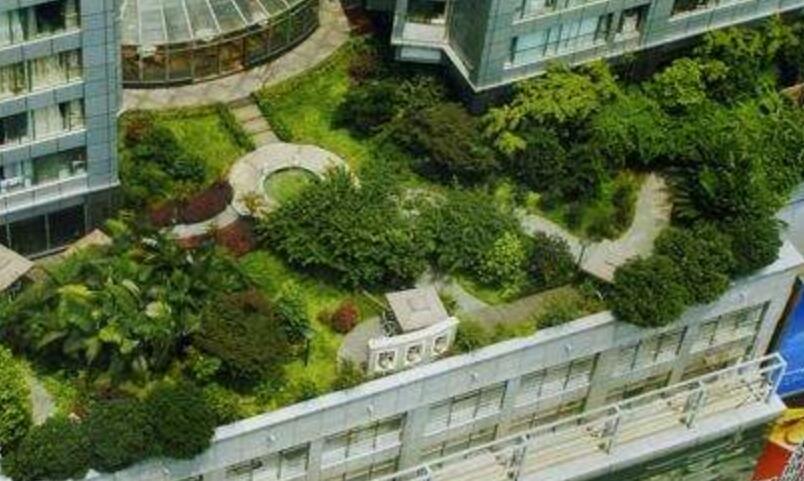 1647572162361063.jpg 1647572162361063.jpg