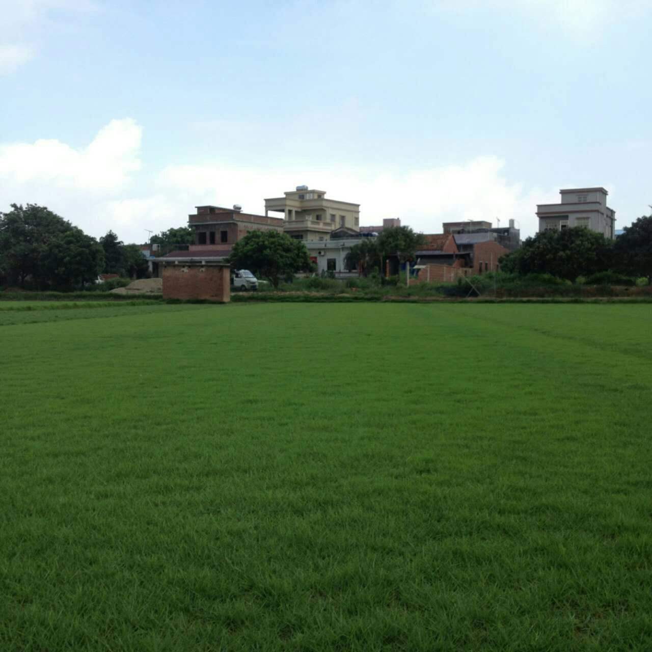 1647573802403906.jpg 1647573802403906.jpg