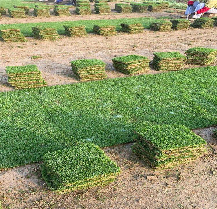 1647573802593733.jpg 1647573802593733.jpg