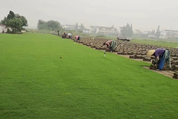 1647573917914796.jpg 1647573917914796.jpg