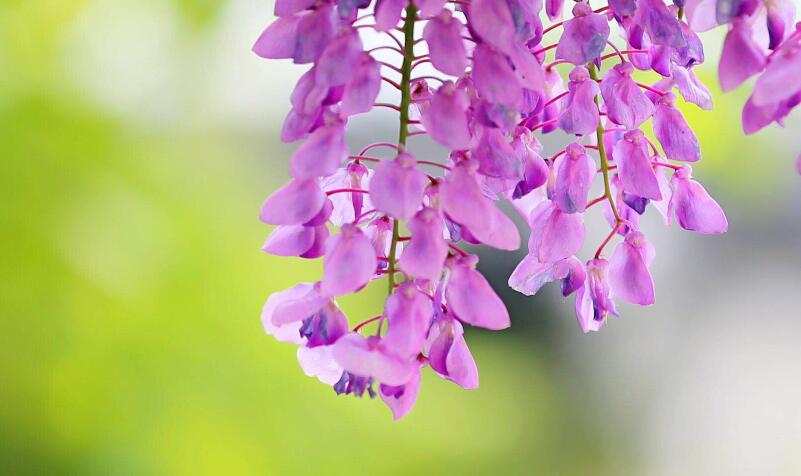 1649039468430928.jpg 1649039468430928.jpg