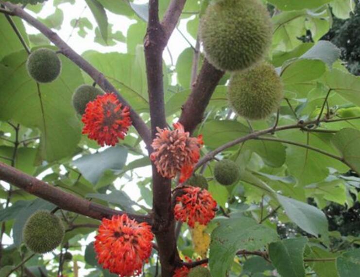 1649039635123245.jpg 1649039635123245.jpg