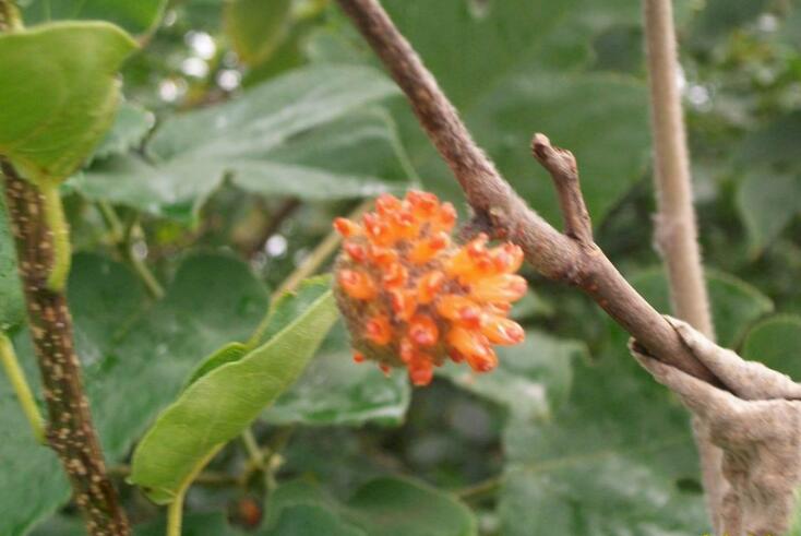 1649039635635171.jpg 1649039635635171.jpg