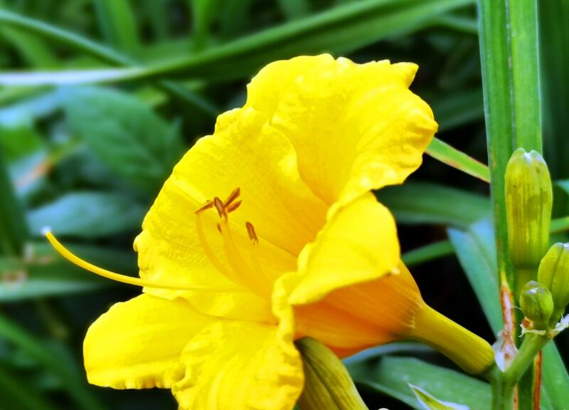 1649039924215964.jpg 1649039924215964.jpg