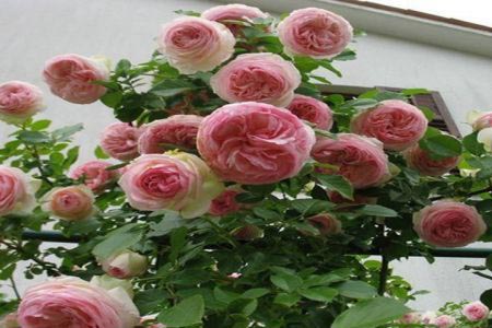 1649046195366790.jpg 1649046195366790.jpg