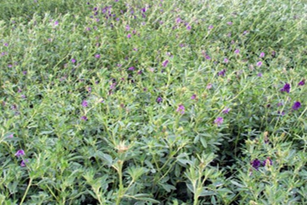 1651542912792186.jpg 1651542912792186.jpg