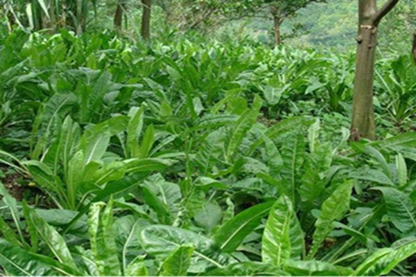 1651546186720543.jpg 1651546186720543.jpg