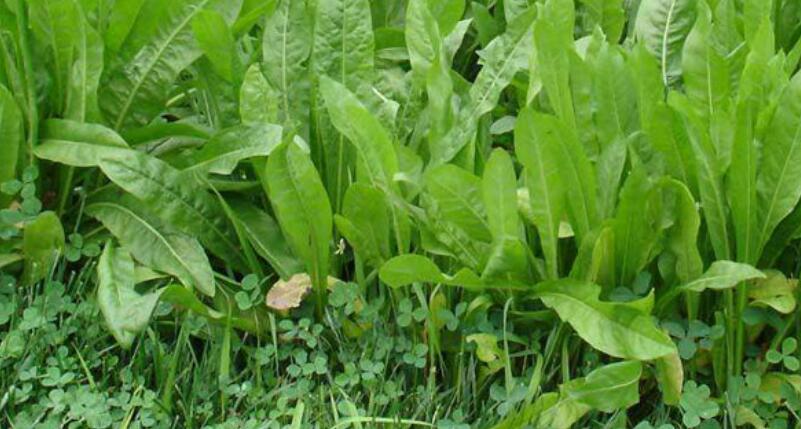 1651546342805632.jpg 1651546342805632.jpg