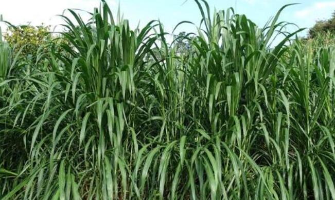 1652151387794739.jpg 1652151387794739.jpg