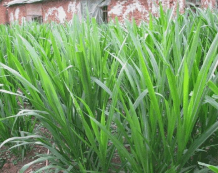 1653798308409937.jpg 1653798308409937.jpg