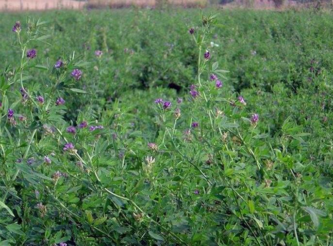 1653799620157220.jpg 1653799620157220.jpg