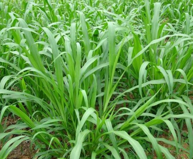 1654494098164687.jpg 1654494098164687.jpg