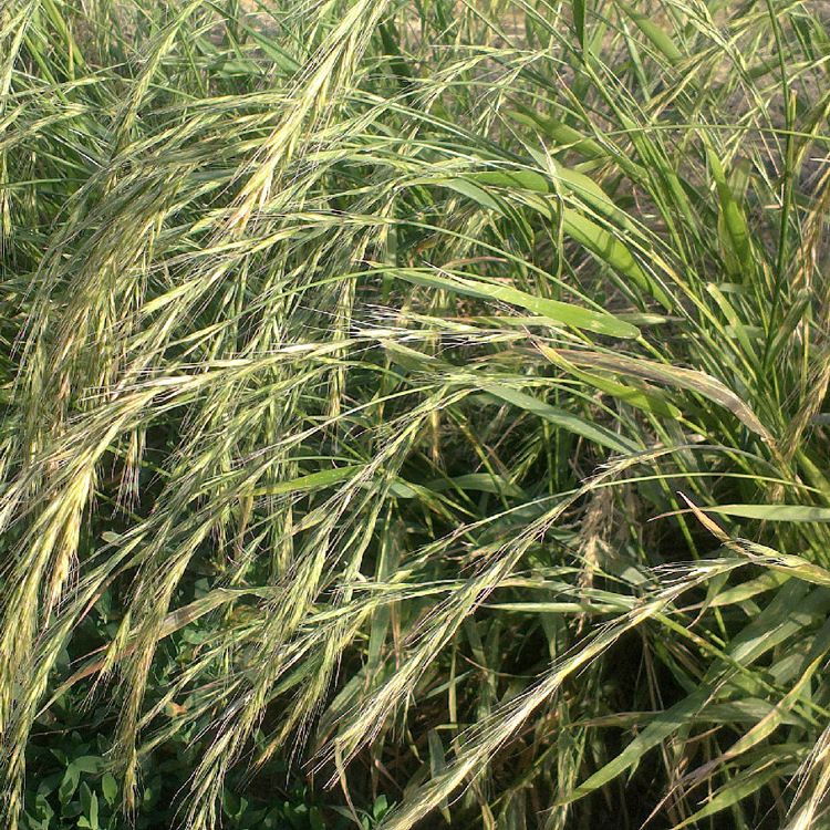 1654497461217715.jpg 1654497461217715.jpg