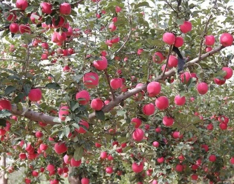 1660338322264017.png image.png