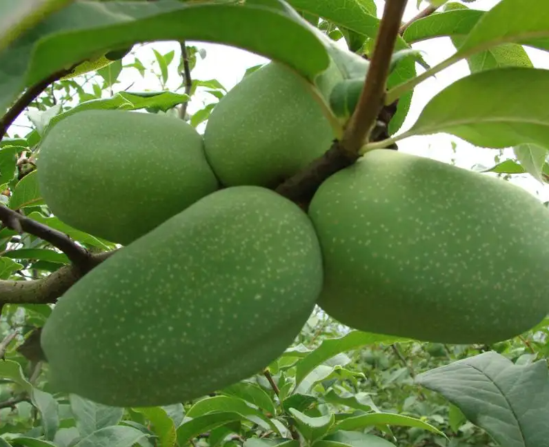 1672621682593883.png 微信圖片_20221129014525.png