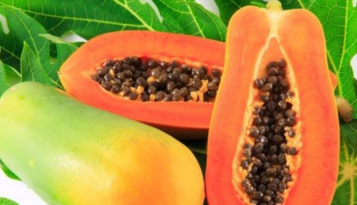 1672621698108429.png 微信圖片_20221129014556.png