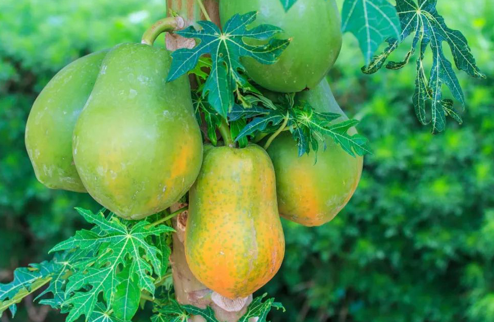 1672621707551854.jpg 微信圖片_20221129014634.jpg