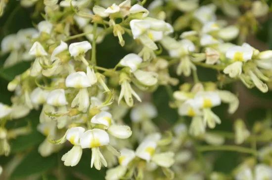 1673091809654318.jpg 微信圖片_20221025220226.jpg