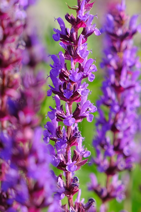 1673091950339292.png 微信圖片_20230107194458.png