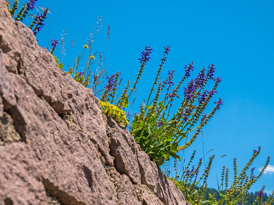 1673091958889983.png 微信圖片_20230107194519.png