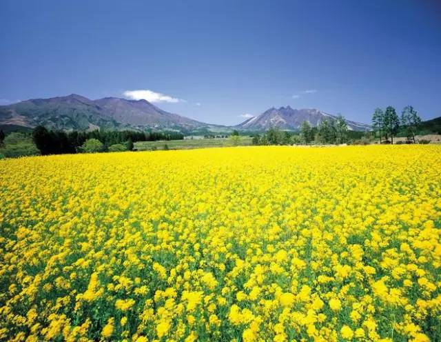 1673092069291101.jpg 微信圖片_20221023222801.jpg