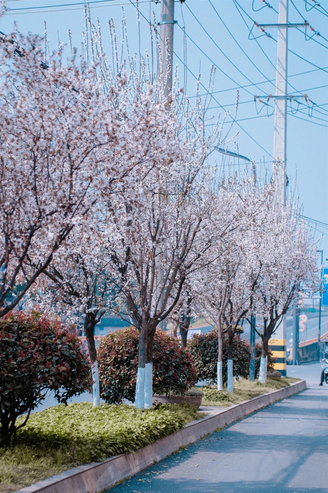 1673092286302950.jpg 微信圖片_20230107194952.jpg