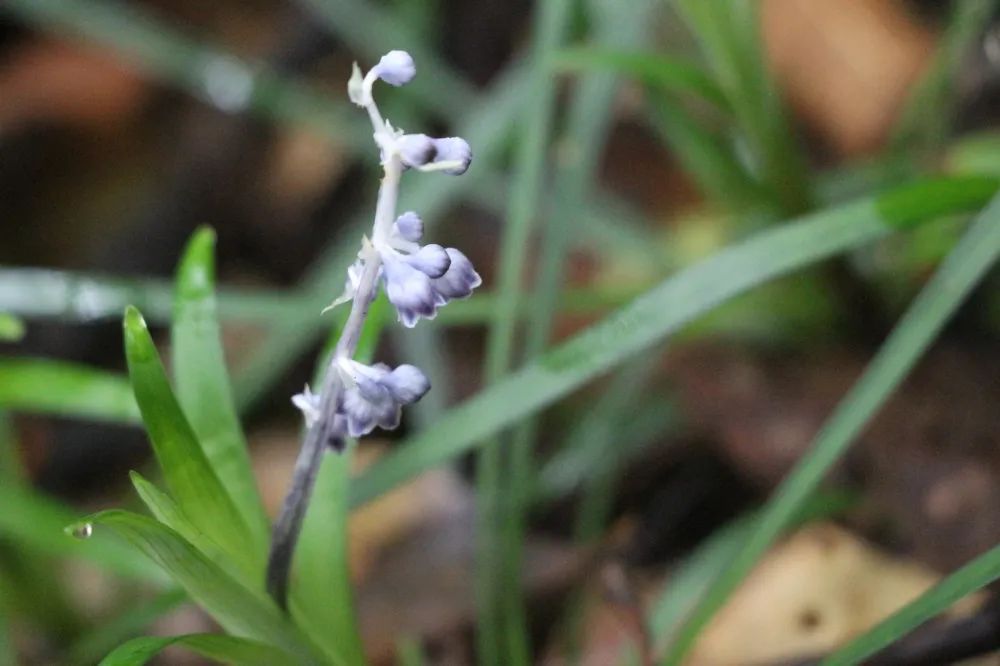 1673092834640062.jpg 微信圖片_20230107200018.jpg