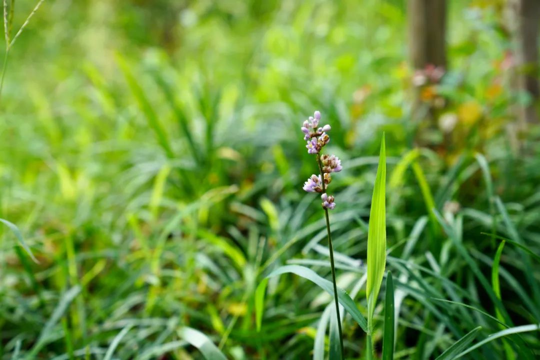 1673092844148207.jpg 微信圖片_20230107195910.jpg